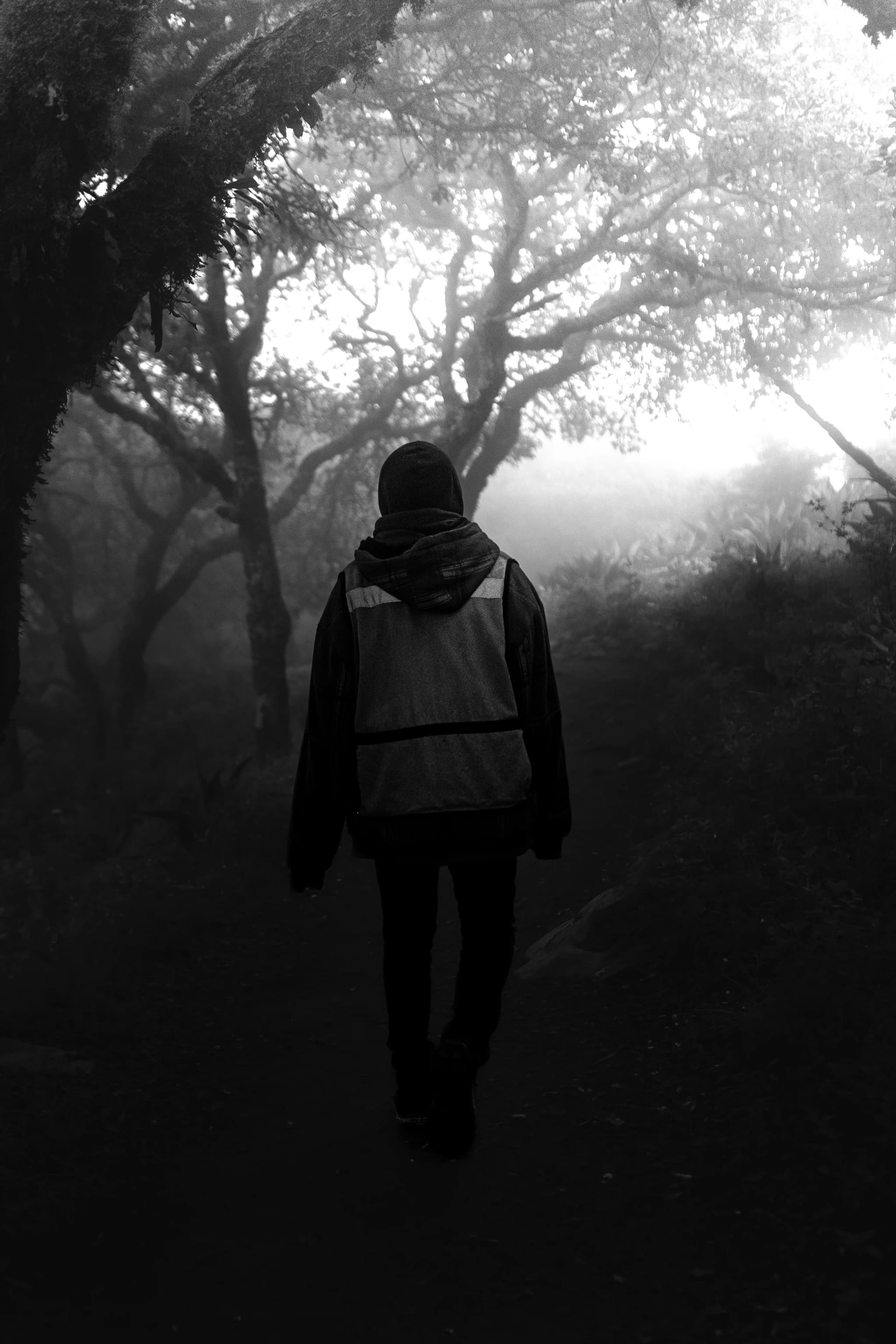 Travel & Cinema — Personal Work — still 1