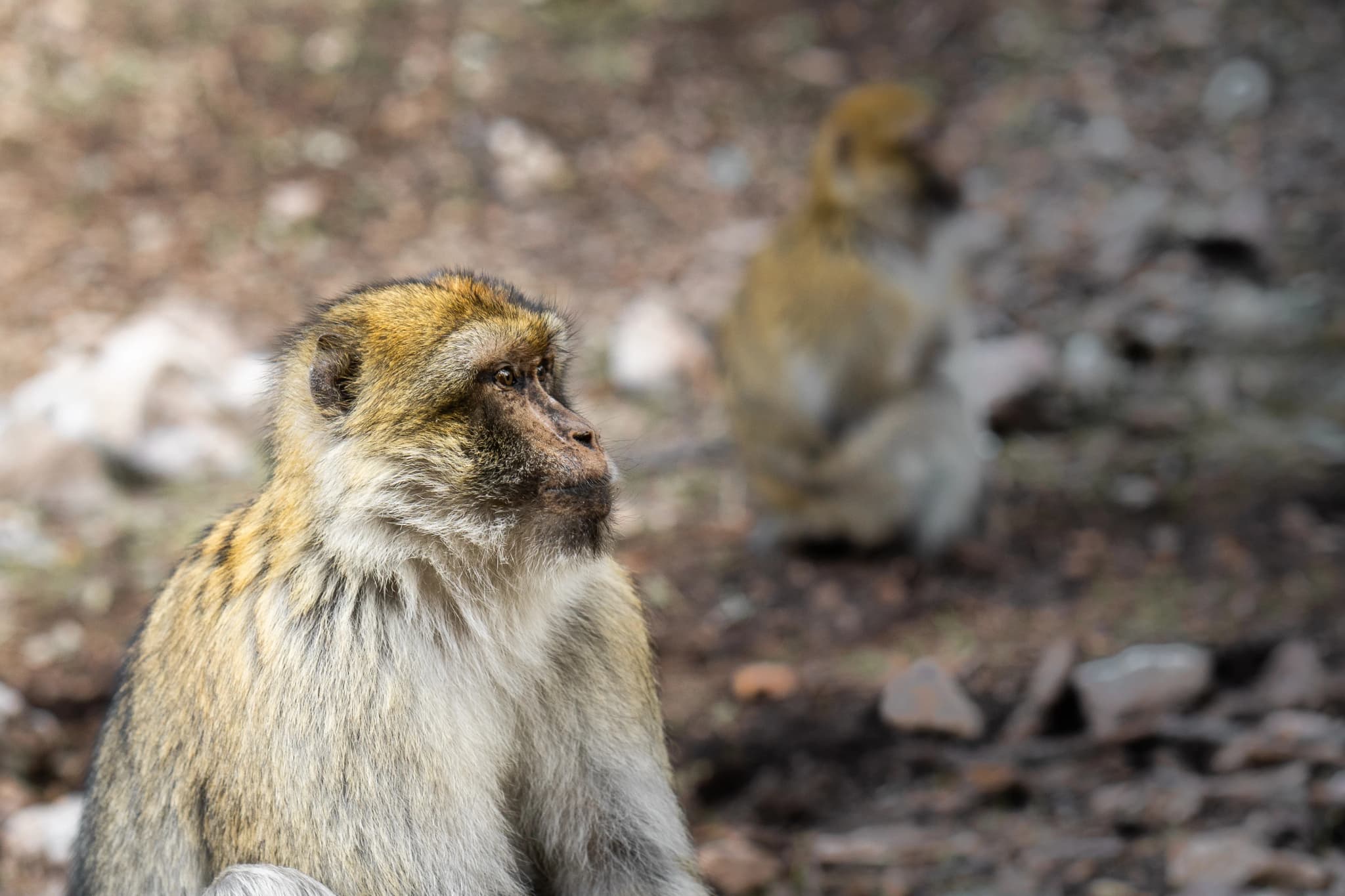 Travel & Cinema — Personal Work — still 7