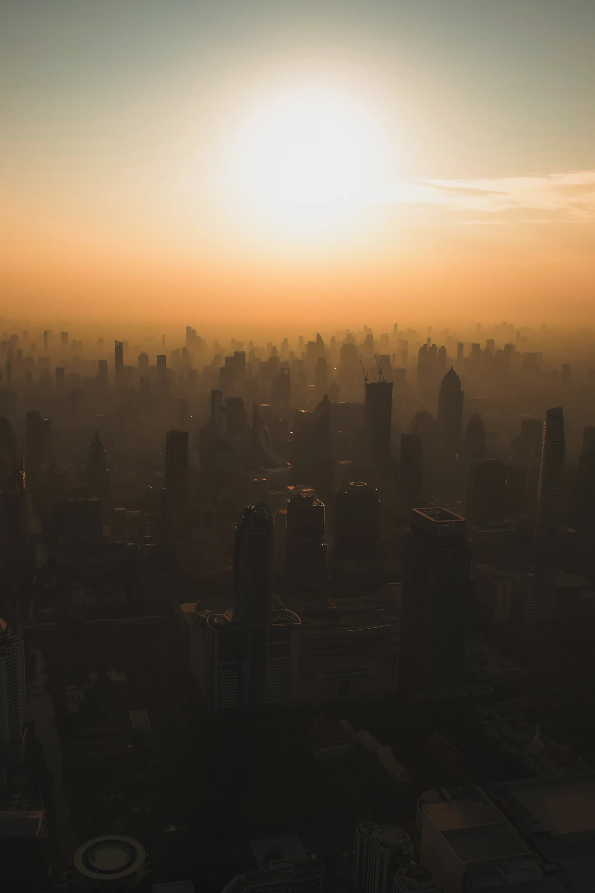 Travel & Cinema — Personal Work — still 11